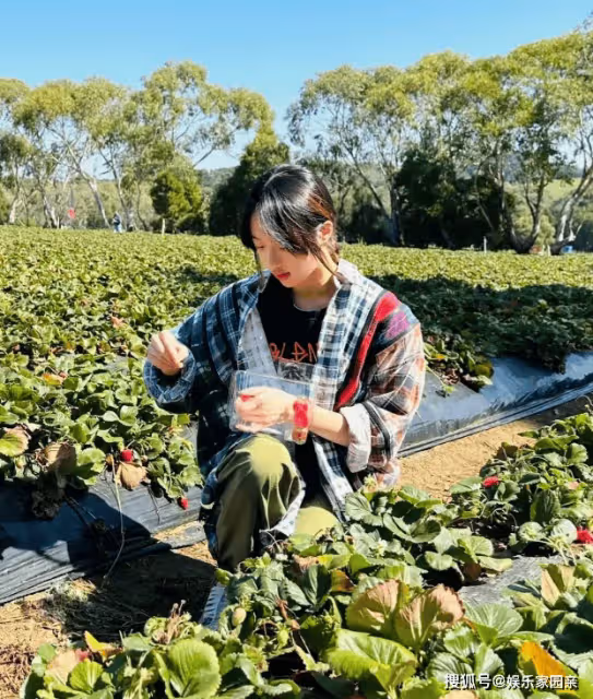吳尊帶一兒一女摘草莓，neinei塗口紅顯清秀，弟弟Max臉小顏值高