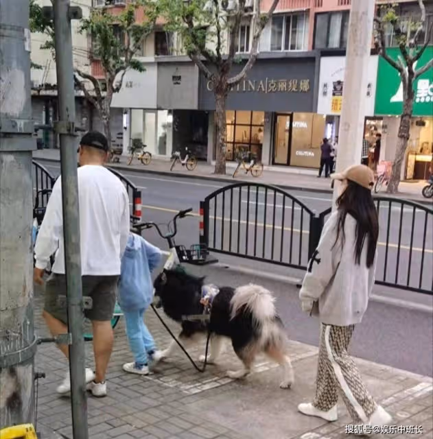 楊穎傍晚帶小海綿遛狗被偶遇，一身行頭超10萬，疑主攻香港娛樂圈