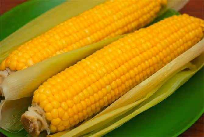 玉米熟的保存還是生的保存?教你幾個技巧,放一年味道也不變