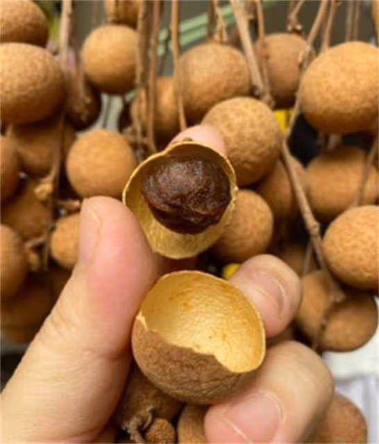 桂圓怎麼曬成桂圓乾?多加這一步,龍眼乾好吃又容易保存