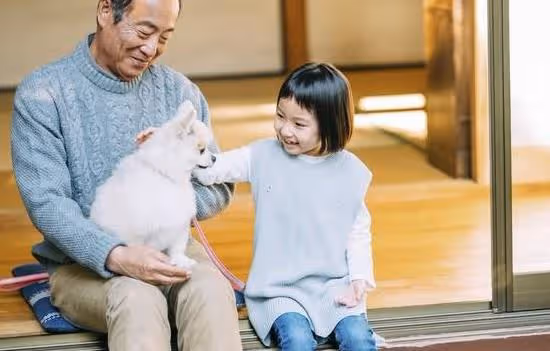 婆婆的墓碑上沒我兒子名字,公公說:他是你爸的孫子不是我們家的