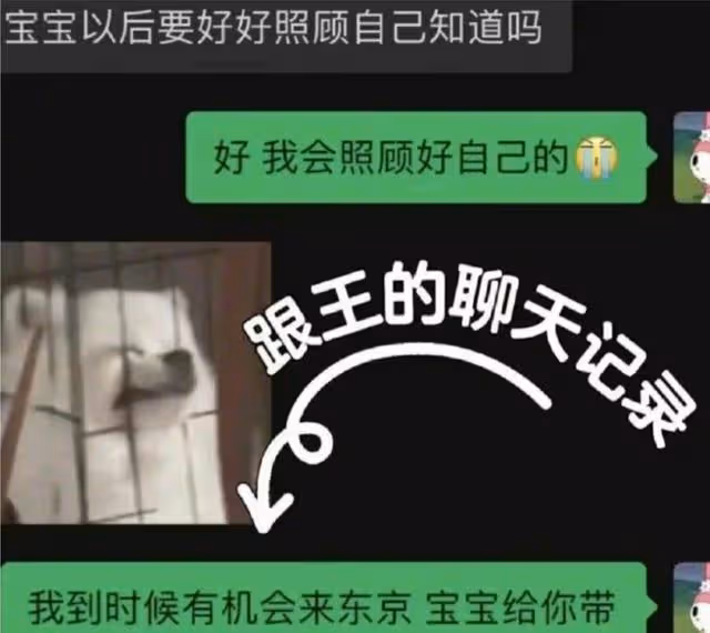 小羽官宣與王思聰分手！曬出兩人聊天記錄，評論區扒出黑歷史