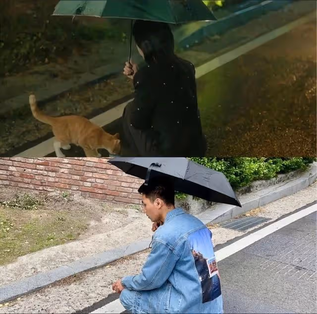 韓劇濾鏡+打光技巧有多強打卡《淚之女王》取景地！一對比網傻眼