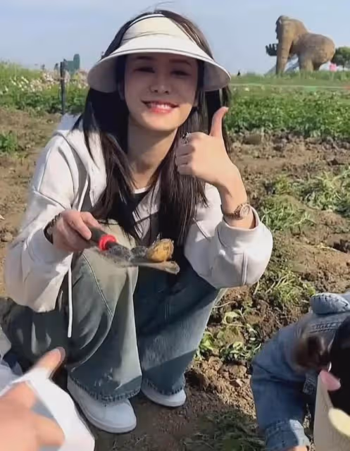 林峯老婆帶女兒挖土豆,3歲Luna心疼爸爸拍戲被打,小棉襖沒白養