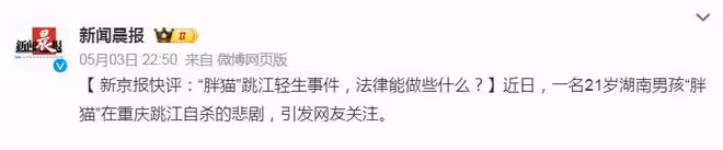 反轉！譚竹要退還胖貓全部的錢，她有可能面臨刑期判罰坐牢