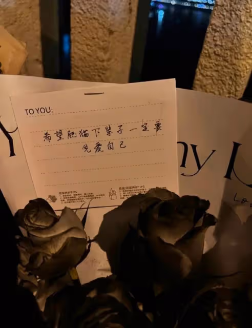 反轉！譚竹要退還胖貓全部的錢，她有可能面臨刑期判罰坐牢