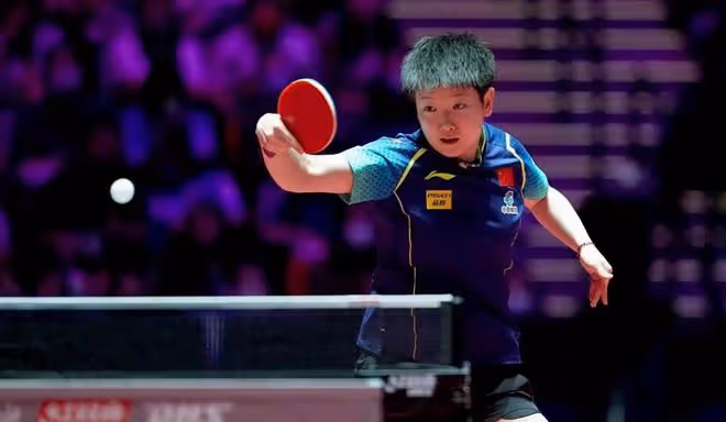3-0輕鬆晉級!樊振東首秀橫掃博格斯,孫穎莎零封劉馨尹
