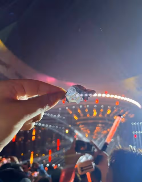 自認為很紅,執意在鳥巢開演唱會,卻成了笑話!