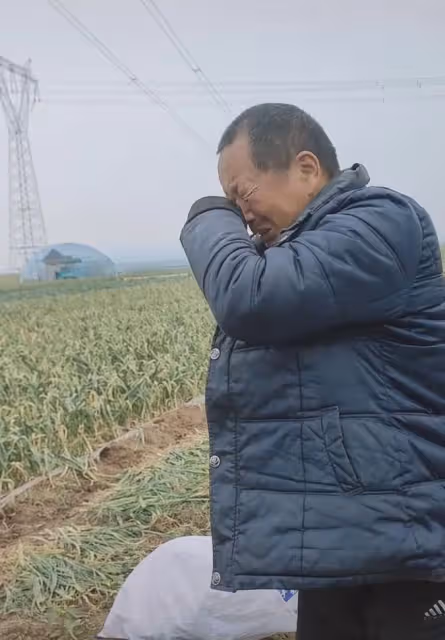 姑姑去世子女不讓爸爸去,爸爸出門遙望淚流滿面,一句話女兒心酸