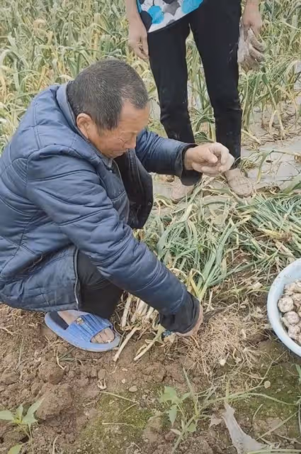 姑姑去世子女不讓爸爸去,爸爸出門遙望淚流滿面,一句話女兒心酸