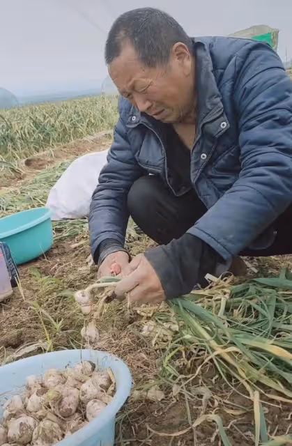 姑姑去世子女不讓爸爸去,爸爸出門遙望淚流滿面,一句話女兒心酸