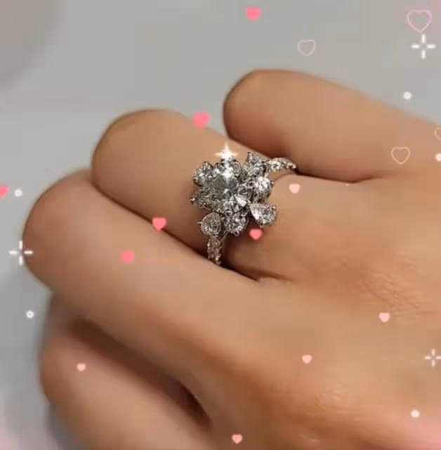 不藏了!謝金晶披婚紗宣布炸裂喜訊,男方身份曝光太震驚,姐姐謝金燕立即趕往現場