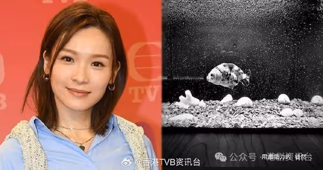蘇韻姿離巢轉行做老師！李佳芯傳《麻雀樂團》成告別作
