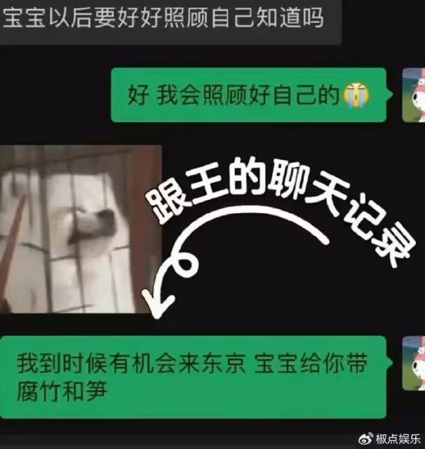 小羽和王思聰分手,曬聊天記錄獲網友心疼!王思聰:寶寶以後照顧自己