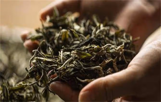 茶葉有保質期嗎?茶葉存放多久會過期?不懂的茶友,不妨來看看