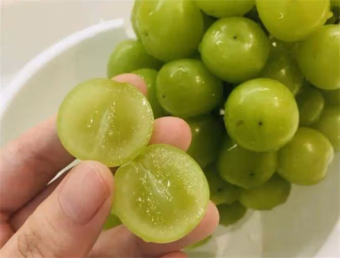 怎麼區分晴王和陽光玫瑰?晴王葡萄與陽光玫瑰葡萄有什麼區別?