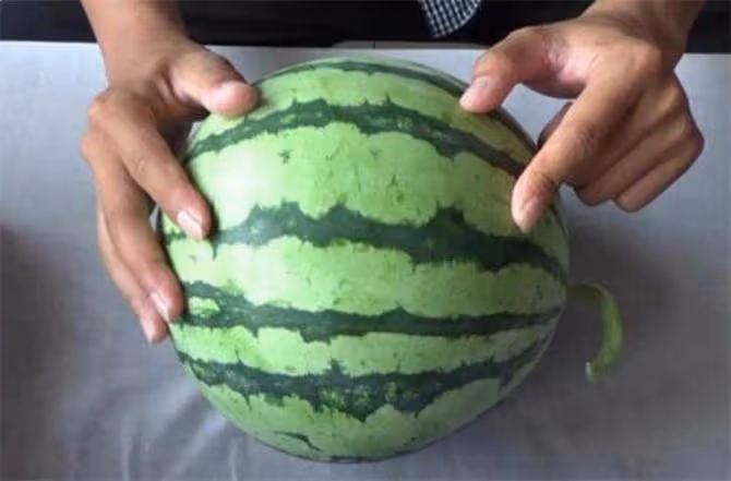 如何挑選西瓜?分享挑西瓜最好的三個方法,又沙又甜又好吃