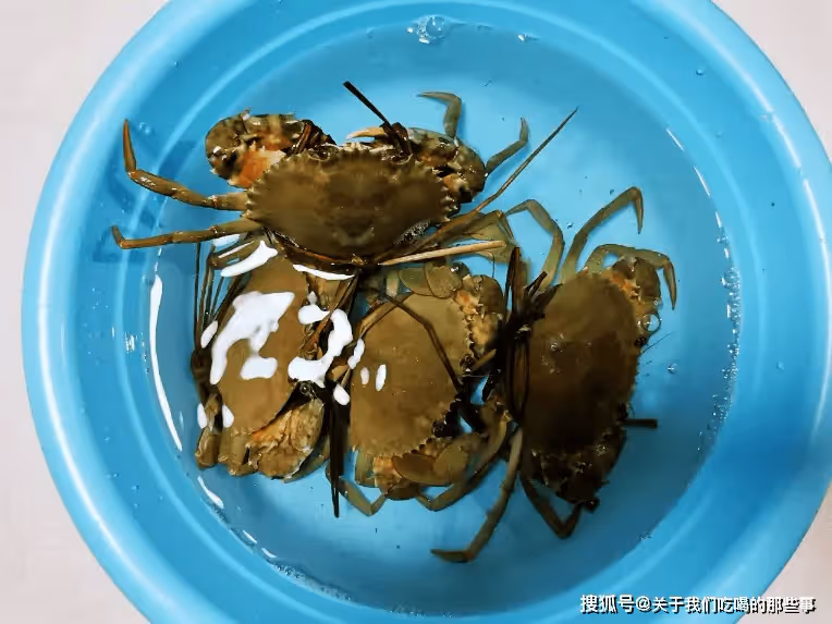 保存螃蟹時，直接放冰箱是大忌，教你1個妙招，放7天都鮮活好吃