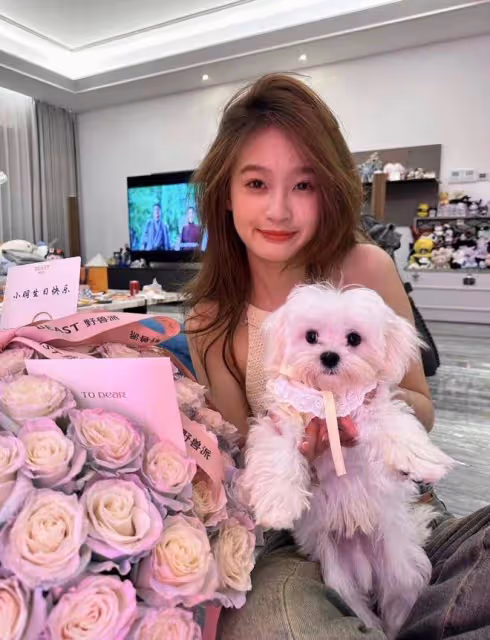王思聰又分手,聊天記錄曝光!網友:萬花叢中過,片葉不沾身