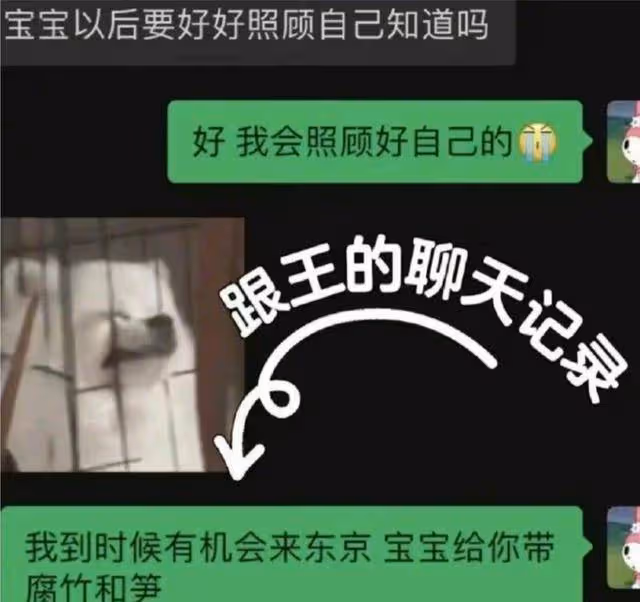 王思聰又分手,聊天記錄曝光!網友:萬花叢中過,片葉不沾身