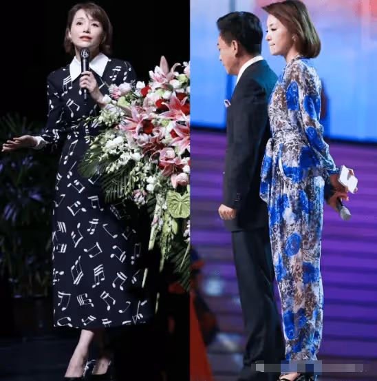忍無可忍,董卿終於不再沉默,對於網上的指責,她選擇了反擊!
