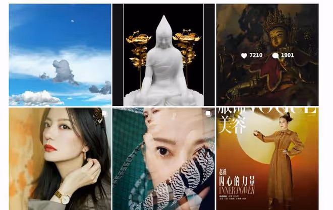 趙姓「小燕子」現身北京，疑似和王菲見面，發動態後又快速刪除