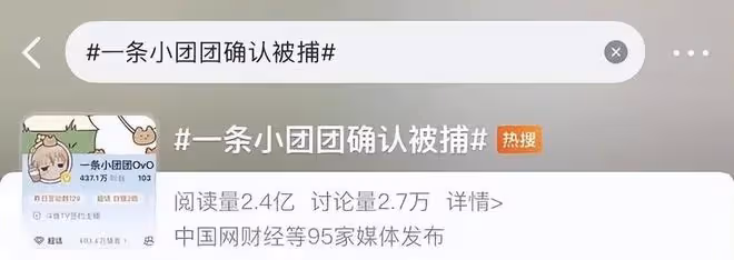 千萬粉絲網紅「一條小團團」被捕，或將面臨頂格處罰