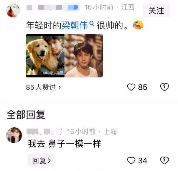 董潔14歲兒子神似梁朝偉，大鼻子如出一轍，網友疑惑重重