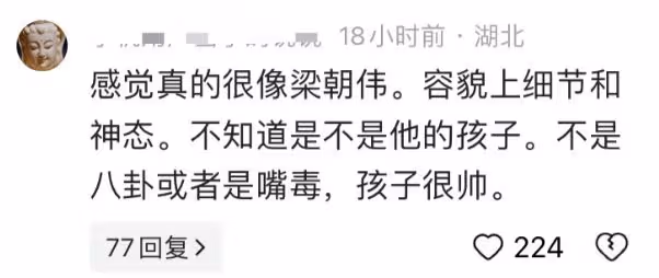 董潔14歲兒子神似梁朝偉，大鼻子如出一轍，網友疑惑重重
