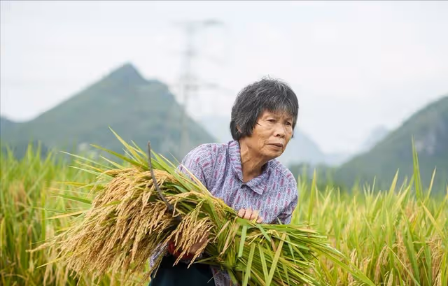 老伴去世後！我73歲「去兒子家養老」感到不對勁　某天隨手「拿兒媳水杯喝水後」憤然離去!