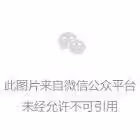 趙麗蓉:丈夫死後嫁小叔子,再婚後喪夫喪女,一句遺言讓人心疼