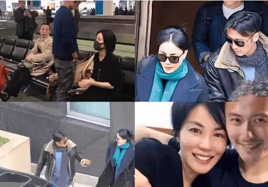 王菲罕見秀恩愛,張柏芝曬兒子,謝霆鋒的兩個女人各有千秋!