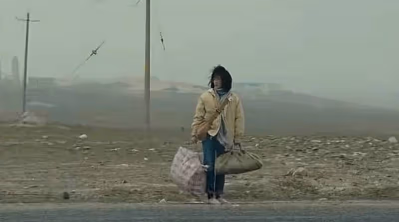 央視《我的阿勒泰》首播口碑出爐!觀眾的打分點評「一針見血」