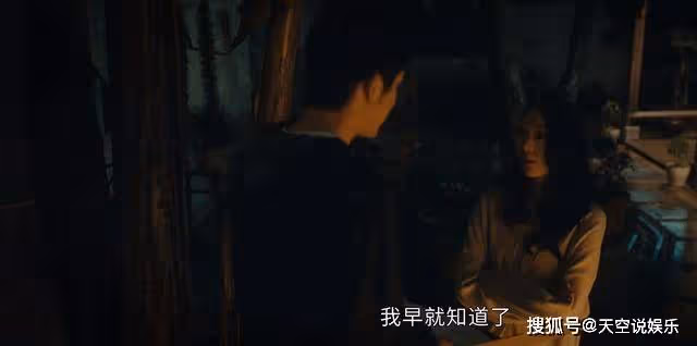 《微暗之火》明知徐毅出軌,為何南雅不利用證據離婚呢?太心酸了