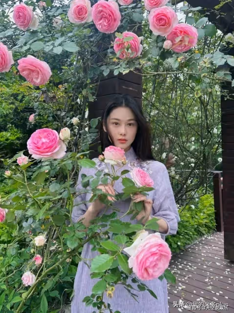張馨予何捷回廣州了!自家小院5月已開滿鮮花,喝茶吃西瓜太享受