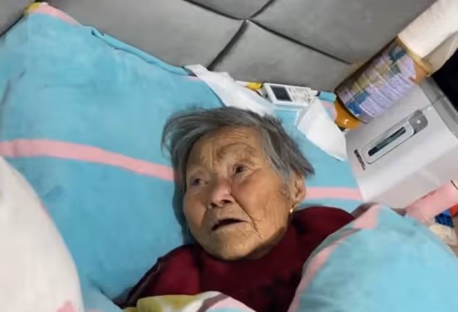 調皮貓咪把87歲奶奶的尿不濕撓了個洞,被奶奶罵一早上,孫女樂了