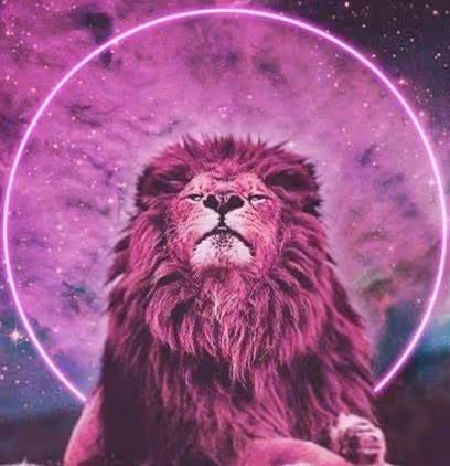5月求財易得!財神天天光顧,這些星座橫財滾滾,讓人羨慕不已!