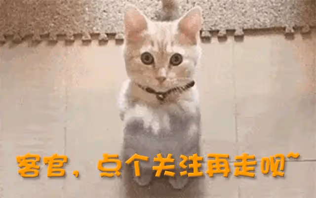 相親奇葩女：暢談黑人前男友，刷新三觀！