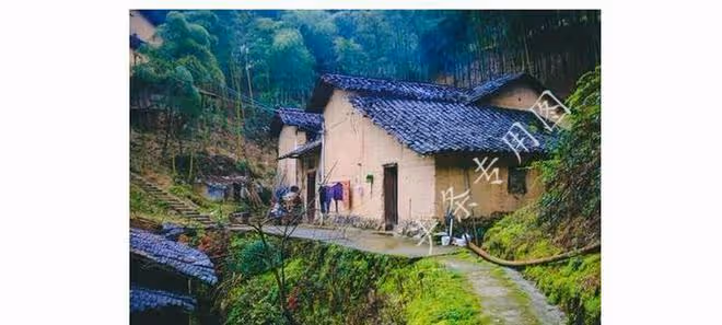 獨居老人請保姆是為啥?41歲保姆坦言:大多並不是為了找人養老