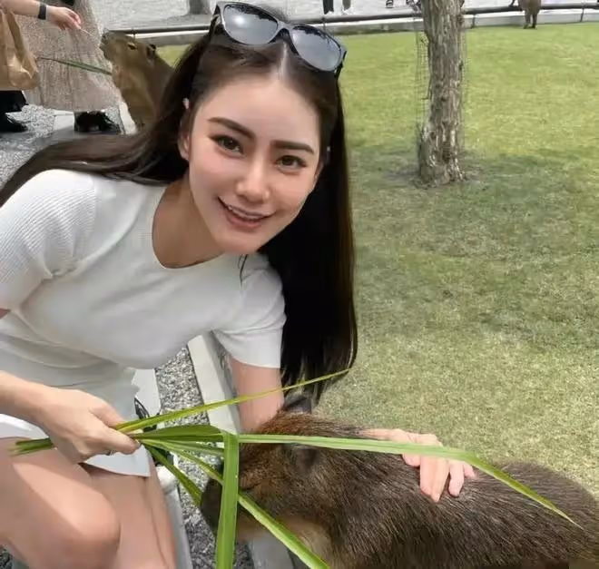 汪小菲牽手未婚妻吃烤魚 讓具俊曄的音樂會黯然失色 馬筱梅勝!