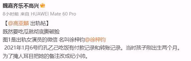高亞麟被爆出軌家暴，妻子曬證據實錘，出軌對象也是知名女演員
