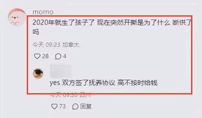反轉!高亞麟撫養協議曝光,女方分走深圳一套房,鬧掰原因被曝光