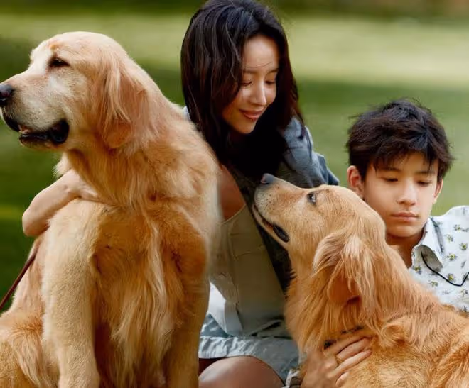 母子麼?董潔兒子首登封面!15歲高級臉帥炸,母子同框像拍偶像劇