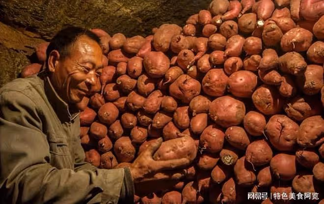 中國各地普遍栽培紅薯,那麼 你知道國內有名的10個紅薯產地在哪