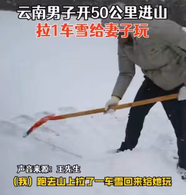 男子開車50公里進山,鏟了6個小時拉了一車雪給妻子玩,羨煞網友