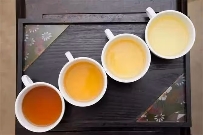 烏龍茶如何分類?我國四大烏龍茶,各有特色,看看你知道幾個?