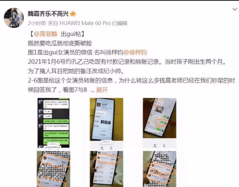 高亞麟腳踩的兩隻船翻了,出軌家暴演員魏嘉,另一位女藝人也被曝光,