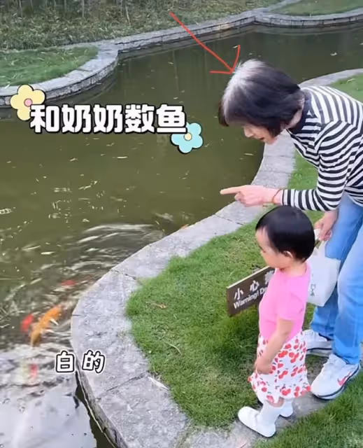 海哈金喜帶婆婆旅遊,李亞鵬媽媽頭頂全白顯蒼老,夏夏和奶奶很親