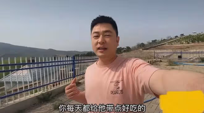 愜意!34歲中年男子應聘墓地巡邏員,月薪18000直接進入退休生活