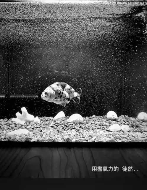 TVB傳離巢視後自爆反覆發燒3天!大曬憔悴照:但願日子簡單